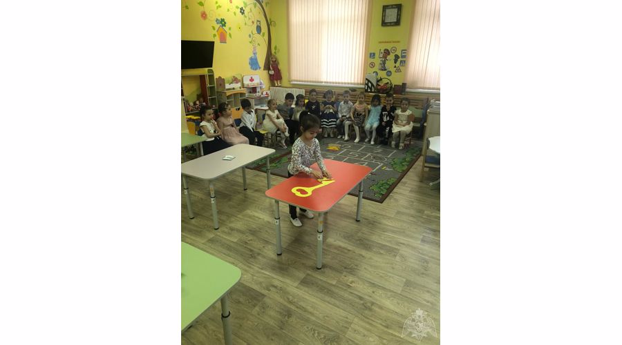 Открытое занятие в старшей группе "Ромашки"