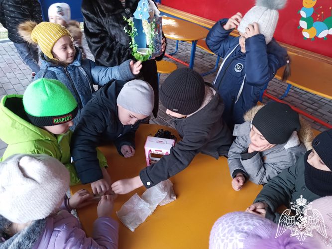 Синичкин день. Благотворительная акция "Покорми птиц"