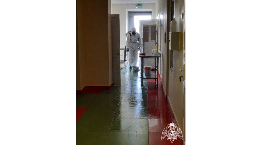 Дезинсекция, дезинфекция и акарицидная  обработка в ДОУ